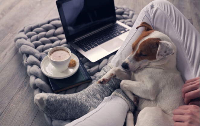 © DR/Shutterstock.com