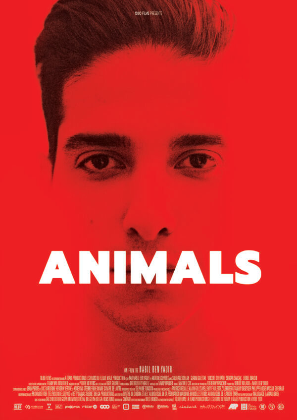 Animals film coup de poing L ventail