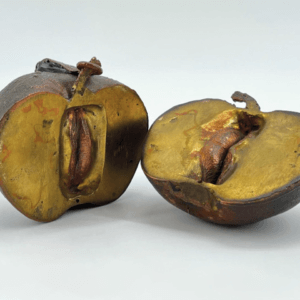 Fruit à coque — Wikipédia