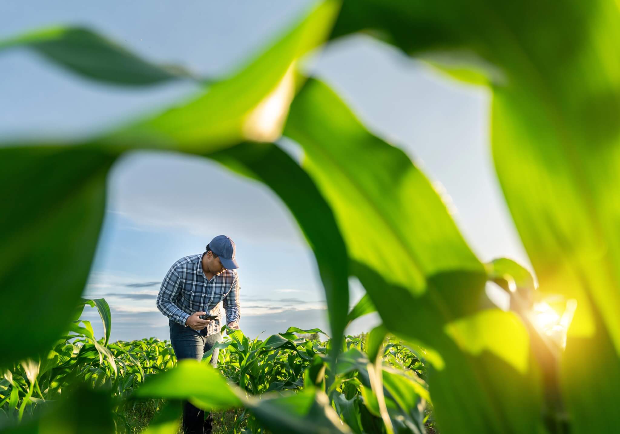 Réinventer l’agriculture Un modèle écologique et social pour demain