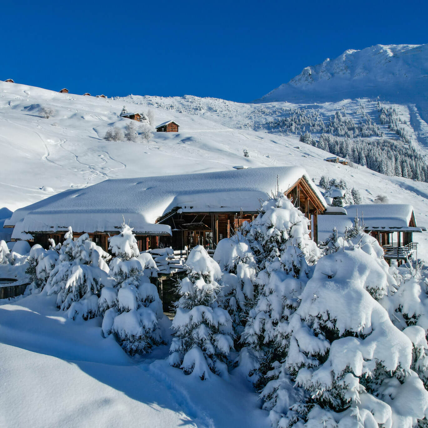 chalet Verbier