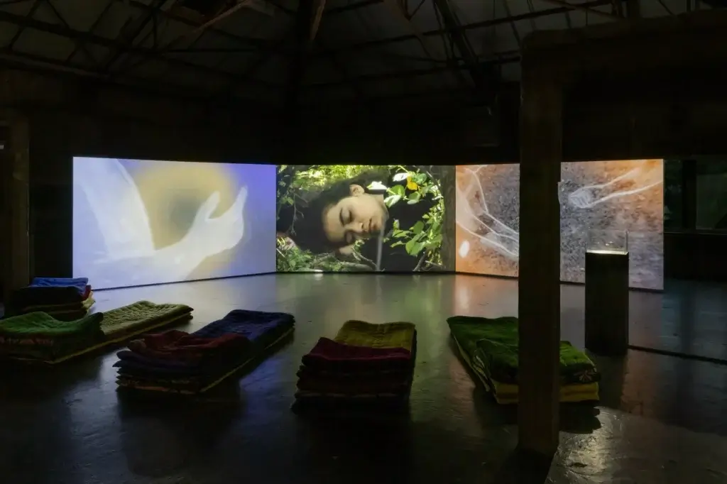 Vue d'exposition ‘Réalisme magique : imaginer la nature en dés/ordre', WIELS