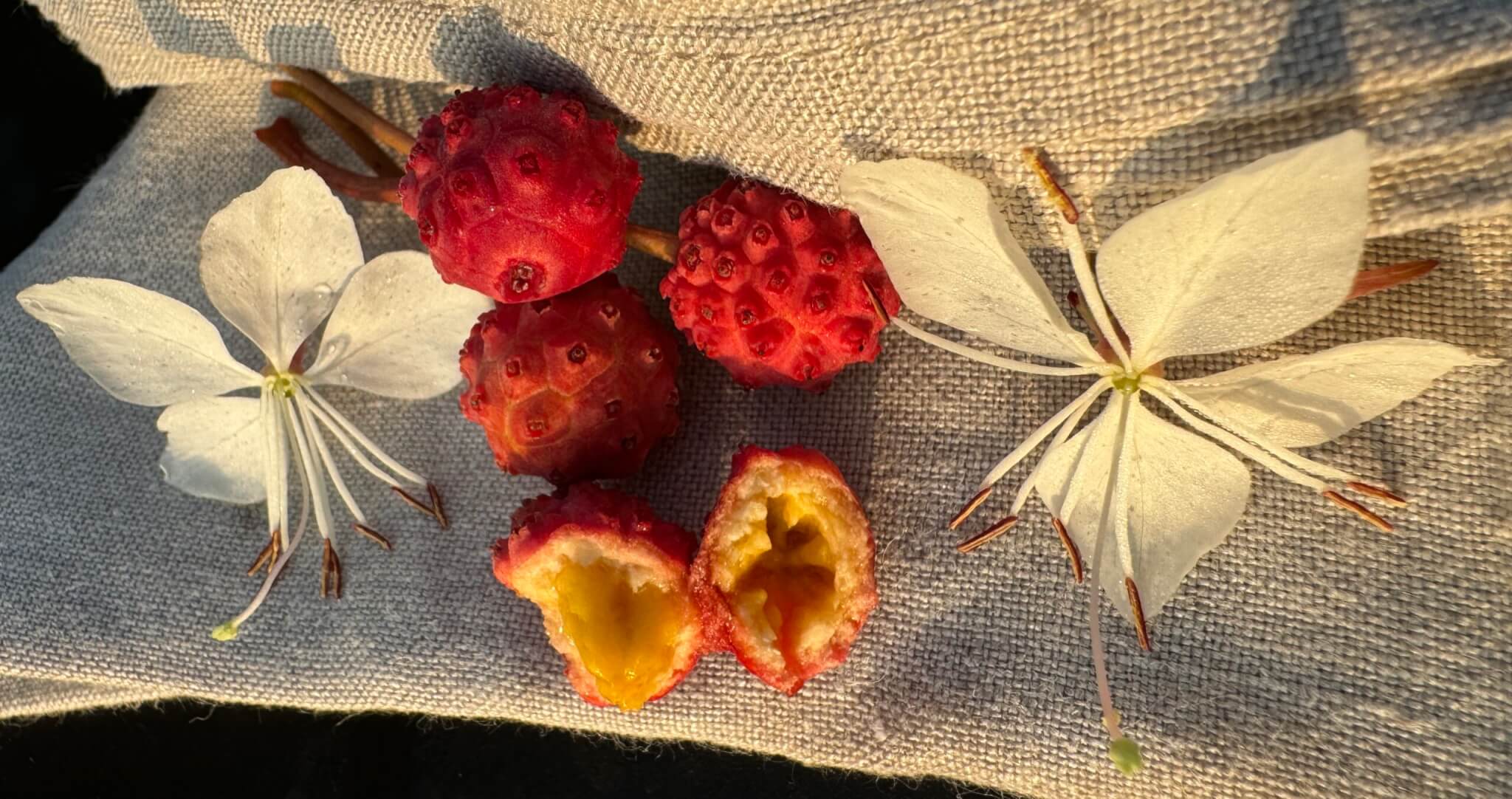 Architecte Paysagiste